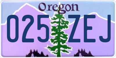 OR license plate 025ZEJ