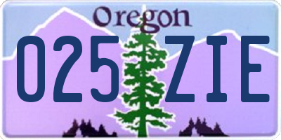 OR license plate 025ZIE