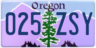 OR license plate 025ZSY