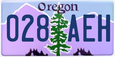 OR license plate 028AEH