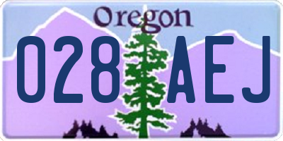 OR license plate 028AEJ