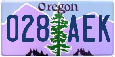 OR license plate 028AEK