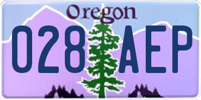 OR license plate 028AEP