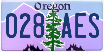 OR license plate 028AES