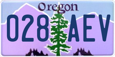OR license plate 028AEV
