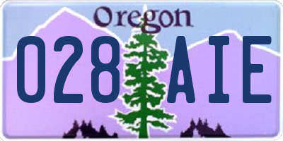 OR license plate 028AIE