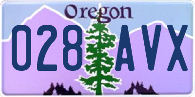 OR license plate 028AVX