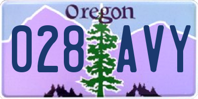 OR license plate 028AVY