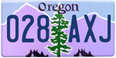 OR license plate 028AXJ