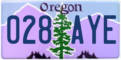 OR license plate 028AYE