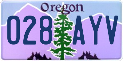 OR license plate 028AYV