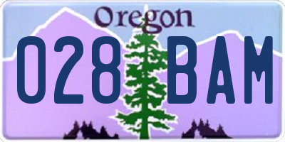 OR license plate 028BAM