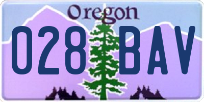 OR license plate 028BAV