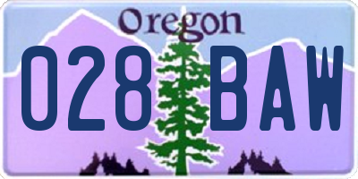 OR license plate 028BAW