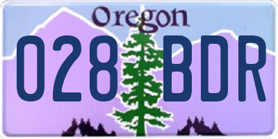 OR license plate 028BDR