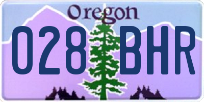 OR license plate 028BHR