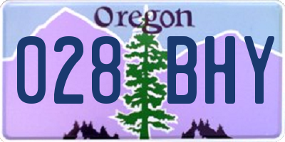 OR license plate 028BHY