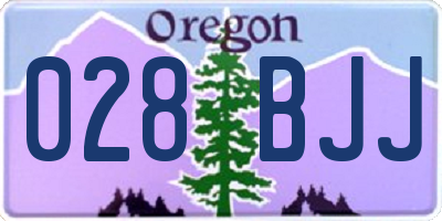 OR license plate 028BJJ