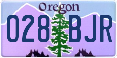 OR license plate 028BJR