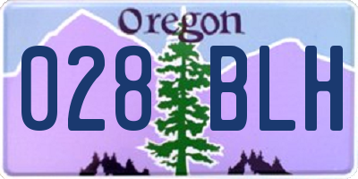 OR license plate 028BLH