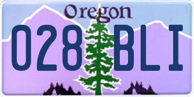 OR license plate 028BLI