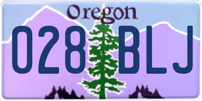 OR license plate 028BLJ