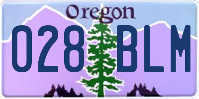 OR license plate 028BLM