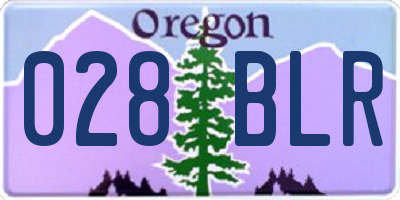 OR license plate 028BLR
