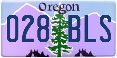 OR license plate 028BLS