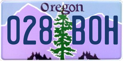 OR license plate 028BOH