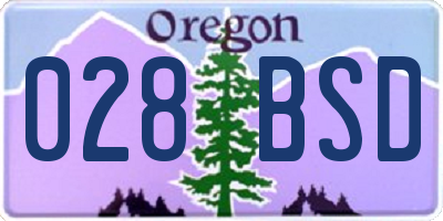 OR license plate 028BSD