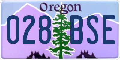 OR license plate 028BSE