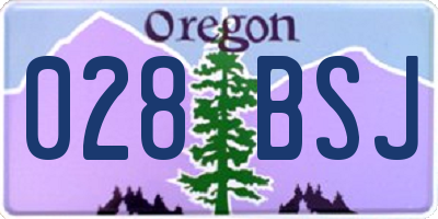 OR license plate 028BSJ