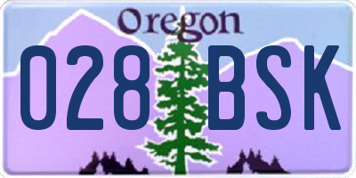 OR license plate 028BSK