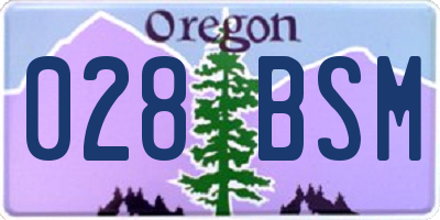 OR license plate 028BSM