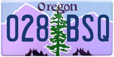 OR license plate 028BSQ