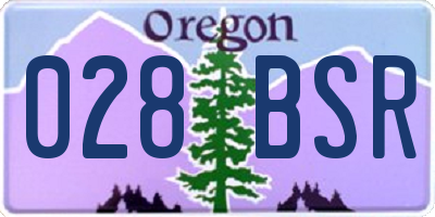 OR license plate 028BSR
