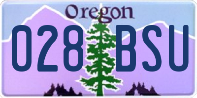 OR license plate 028BSU