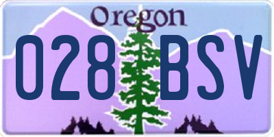 OR license plate 028BSV