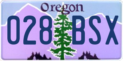 OR license plate 028BSX