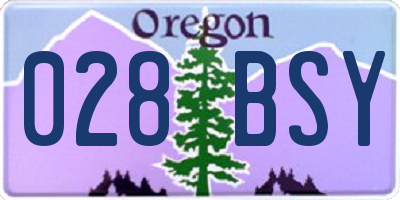 OR license plate 028BSY