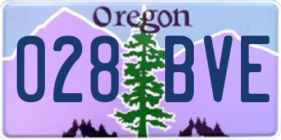 OR license plate 028BVE