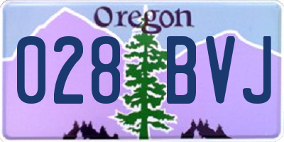 OR license plate 028BVJ