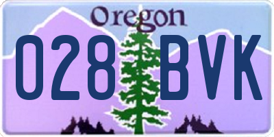 OR license plate 028BVK