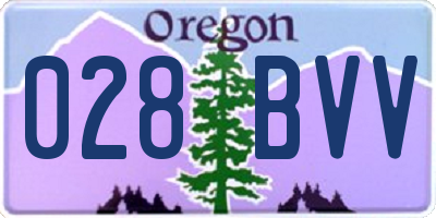 OR license plate 028BVV
