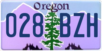 OR license plate 028BZH