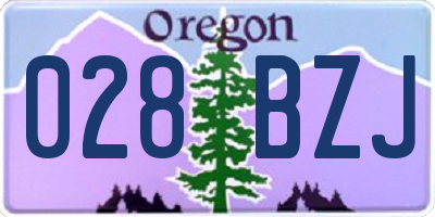 OR license plate 028BZJ