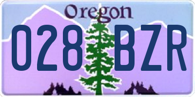 OR license plate 028BZR