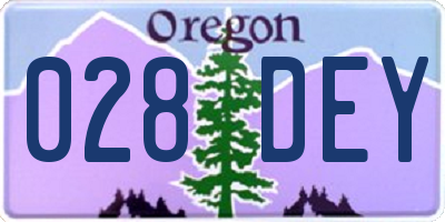 OR license plate 028DEY