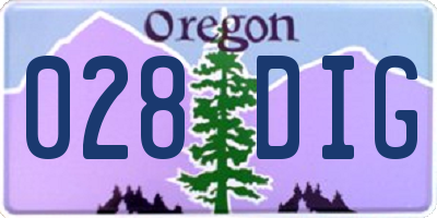 OR license plate 028DIG
